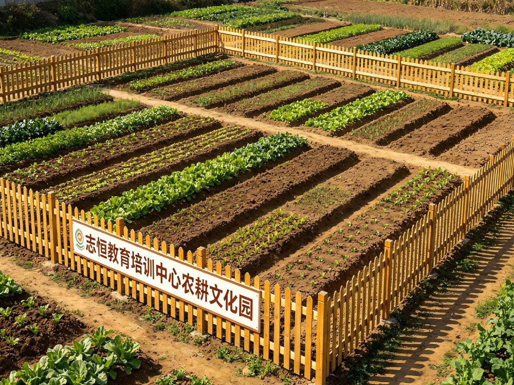 珠海厌学孩子管理学校选择指南与培育机构解析